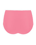 1612 TKD Lingerie Swimwear Fashion Curvy Kate Jetty Flamingo High Waist Brief B