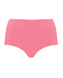 1612 TKD Lingerie Swimwear Fashion Curvy Kate Jetty Flamingo High Waist Brief F