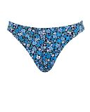 Brazilian Brief Posy Print
