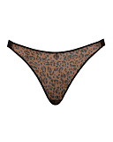 Cool Cat Tanga Leopard Brown TKD Lingerie Curvy Kate Fashion CF1