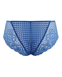 Envy Brief Sapphire TKD Lingerie Panache Fashion CB1