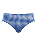 Envy Brief Sapphire TKD Lingerie Panache Fashion CF1
