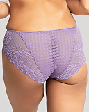 Envy Brief Violet TKD Lingerie Panache Fashion B1
