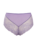 Envy Deeo Brief Violet TKD Lingerie Panache Fashion CB1