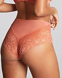 Envy Deep Brief Terracotta TKD Lingerie Panache Fashion B1