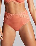 Envy Deep Brief Terracotta TKD Lingerie Panache Fashion F1