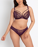 Fascinate Plunge Bra And Brief Plum TKD Lingerie Scantilly Luxury F1