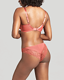 Imogen Balconnet Bra And Brief Garnet Rose TKD Lingerie Panache Fashion  B1