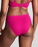 Spirit Classic Brief Magenta TKD Lingerie Panache Swim Fashion B1