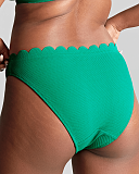 Lauren Classic Brief Verde TKD Lingerie Panache Swim Fashion B1