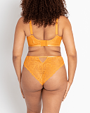 Laze Daze Balcony Bra And Brazilian Brief Mango TKD Lingerie Curvy Kate Fashion B1