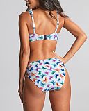 Olivia Full Cup Bikini And Midi Brief Flutter Print TKD Lingerie Panache Swim Fashion B1