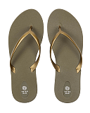 Scout Moss Gold CF1
