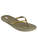 Scout Moss Gold CF2