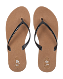 Scout Toffee Black CF1