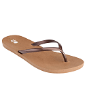 Scout Toffee Copper CF2
