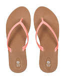 Scout Toffee Coral CF1