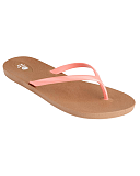 Scout Toffee Coral CF2