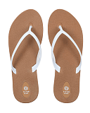 Scout Toffee White CF1