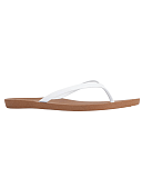 Scout Toffee White CF3