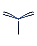 Submission Thong Black Blue TKD Lingerie Scantilly Fashion CB1