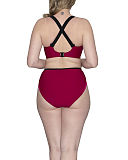 Subtropic Plunge Bikini And High Waist Brief Purple Pink TKD Lingerie Swimwear Fashion B1