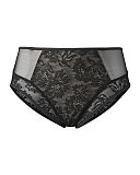 TKD Lingerie Core Panache Idina Brief Black F