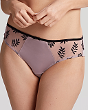 Tango 21st Anniversary Brief Eqounix TKD Lingerie Panache Fashion F1