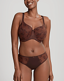 Tango Balconnet Bra And Brief Nutmeg TKD Lingerie Panache Core F1
