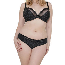 Daisie Brief