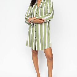 Nancy Printed Stripe Nightshirt Sage Green Mix