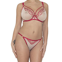 Submission Brief Latte/Red