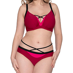 Subtropic Mini Brief