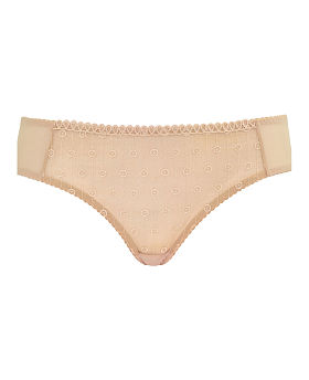 Dreamcatcher Brief