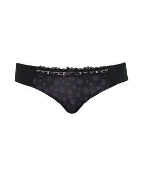 Daisie Brief