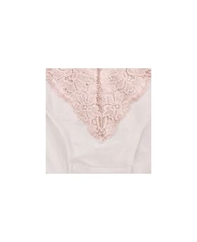 Apricot Sorbet Brief Apricot Sorbet Brief