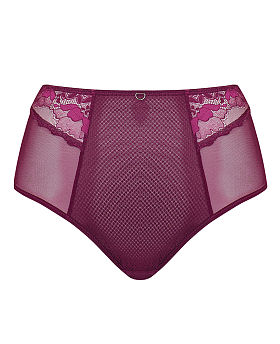 Delightfull High Waist Brief