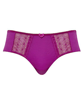Cari Brief Orchid