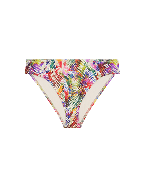 Dream Deep Brief