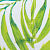Palm Print