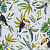 Toucan Print