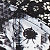 Mono Print