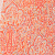 Orange Paisley Print