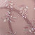 Rose Ombre